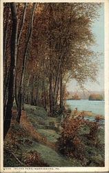 1906 Island Park Harrisburg, PA Postcard Postcard