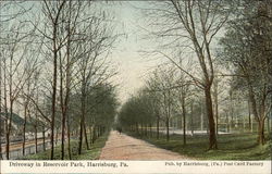 Driveway in Reservoir Park Harrisburg, PA Postcard Postcard