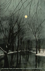 Wildwood Park by Moonlight in Winter Postcard