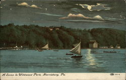 A Scene in Wildwood Park Harrisburg, PA Postcard Postcard