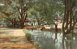 Scenic View in Paxtang Park Postcard