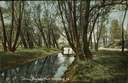 Grove, Paxtang Park Postcard