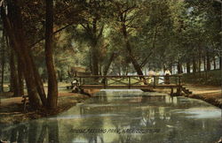 Bridge, Paxtang Park Postcard