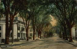 Lafayette Street View Salem, MA Postcard Postcard