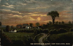 The Sentinel Elm at Sunset Athol, MA Postcard Postcard