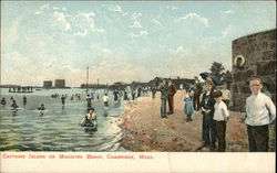 Captains Island or Magazine Beach Cambridge, MA Postcard Postcard