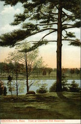 Chestnut Hill Reservoir Postcard