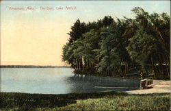 The Dam, Lake Attitash Amesbury, MA Postcard Postcard