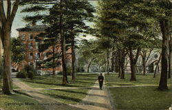 Harvard College Yard from the Library Postcard