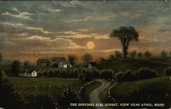 The Sentinel Elm, Sunset Postcard