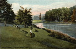 Miller's River Postcard