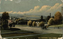 The Sentinel Elm Athol, MA Postcard Postcard