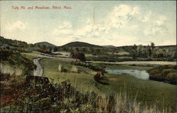 Tully Mountain and Meadows Postcard