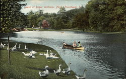 Geese at Roger Williams Park Postcard