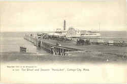 The Wharf And Steamer Postcard