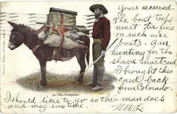 The Prospector Cowboy Western Postcard Postcard