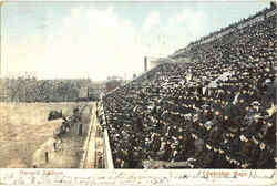 Harvard Stadium Postcard