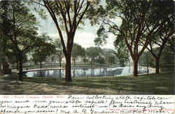 Boston Common Postcard