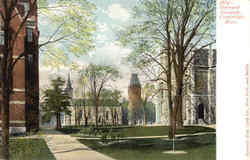 Harvard Grounds Postcard