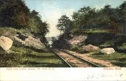 View Near Lower Station Mt. Tom R. R Postcard