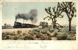 The California Limited On The Desert Postcard