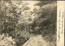 The Parting of the Roads Warwick, MA Postcard Postcard