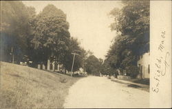 Tree-Lined Street Scene Postcard