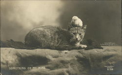 Something on my Mind - Cat & Chick Postcard