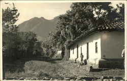 In the Mountains of Costa Rica Postcard