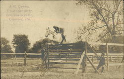 Horse Jumping Chester, PA Horses Postcard Postcard