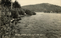 Scene at Billy Creek Camp Postcard