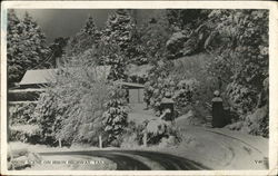 Snow Scene on Huon Highway Tasmania, Australia Postcard Postcard