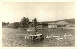 Bathing is Fine, Come in - Diving Platform in Lake Landscapes Postcard Postcard