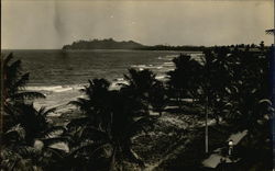 View of tropical island, beach, and palm trees. Honduras Central America Postcard Postcard