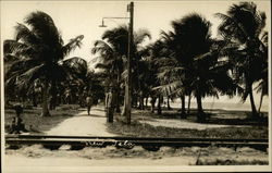 Beach Road and Rail Track Tela, Honduras Central America Postcard Postcard