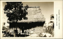 Native Dwelling, Honduras, Central America Postcard Postcard