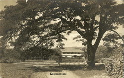 View of Path Under Tree Kapuniakaia, HI Postcard Postcard