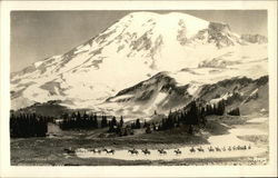 Rainier National Park Mount Rainier National Park Postcard Postcard