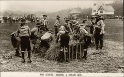 Boy Scouts Making a Straw Bed Postcard