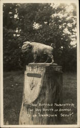 The Buffalo Presented by the Boy Scouts of America to an Unknown Scout Postcard Postcard