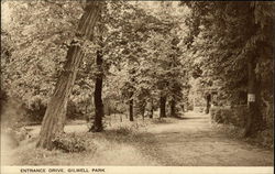 Entrance Drive, Gilwell Park Postcard