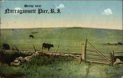 Pastoral Scene - with Cattle in the Meadow Postcard