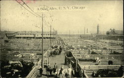 A Busy Alley, USY Postcard