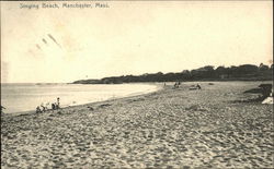 Singing Beach Manchester, MA Postcard Postcard