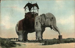 The Elephant Postcard