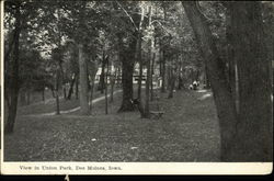 View in Union Park Des Moines, IA Postcard Postcard