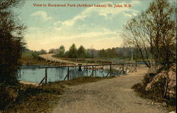 View in Rockwood Park (Artificial Lakes) Saint John, NB Canada New Brunswick Postcard Postcard