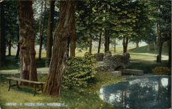 Bridge in Wilcox Park Postcard