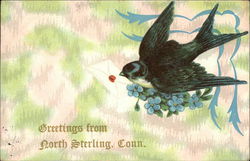 Greetings From North Sterling Postcard