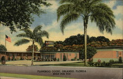 Flamingo Court Orlando, FL Postcard Postcard